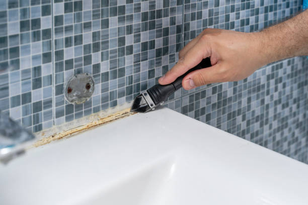 Best Toxic Mold Removal  in Miami Gardens, FL